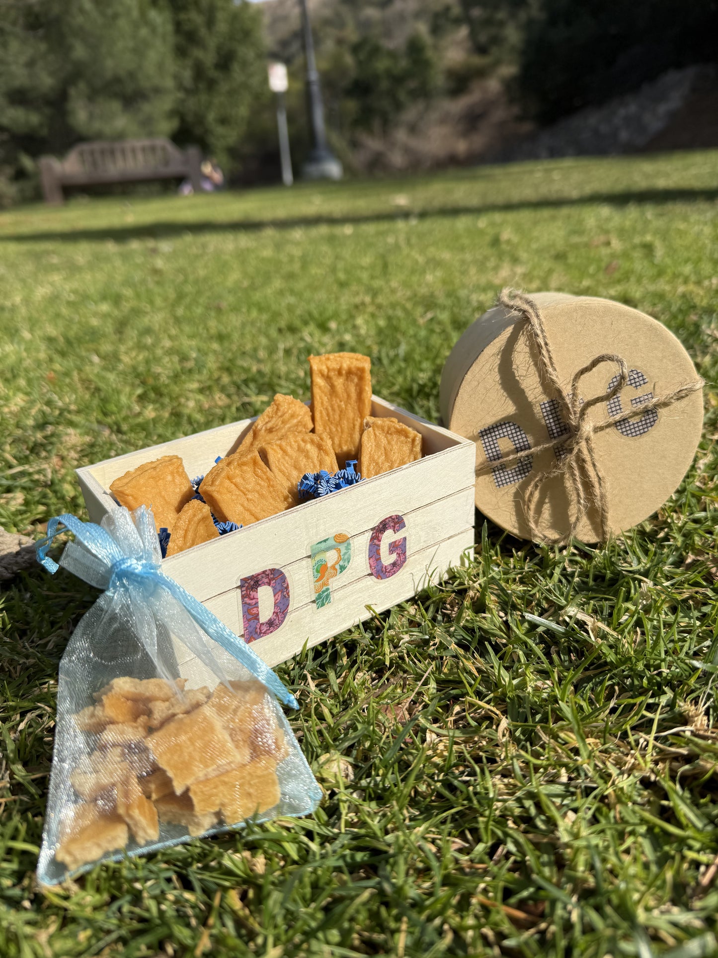 Savory Chicken Bites for Dogs