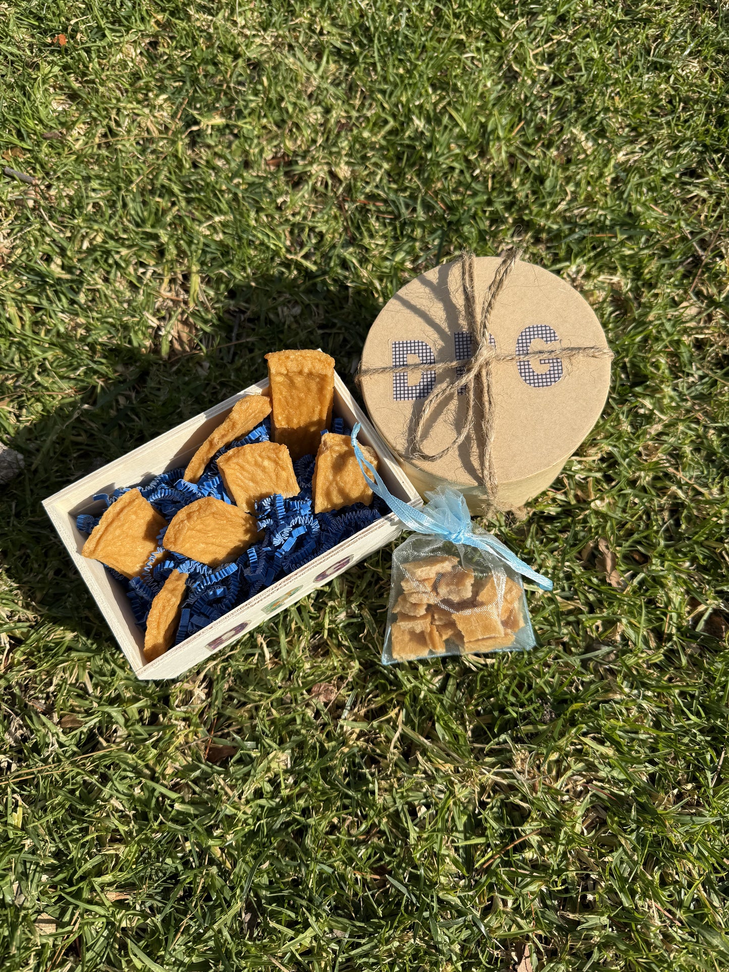 Savory Chicken Bites for Dogs